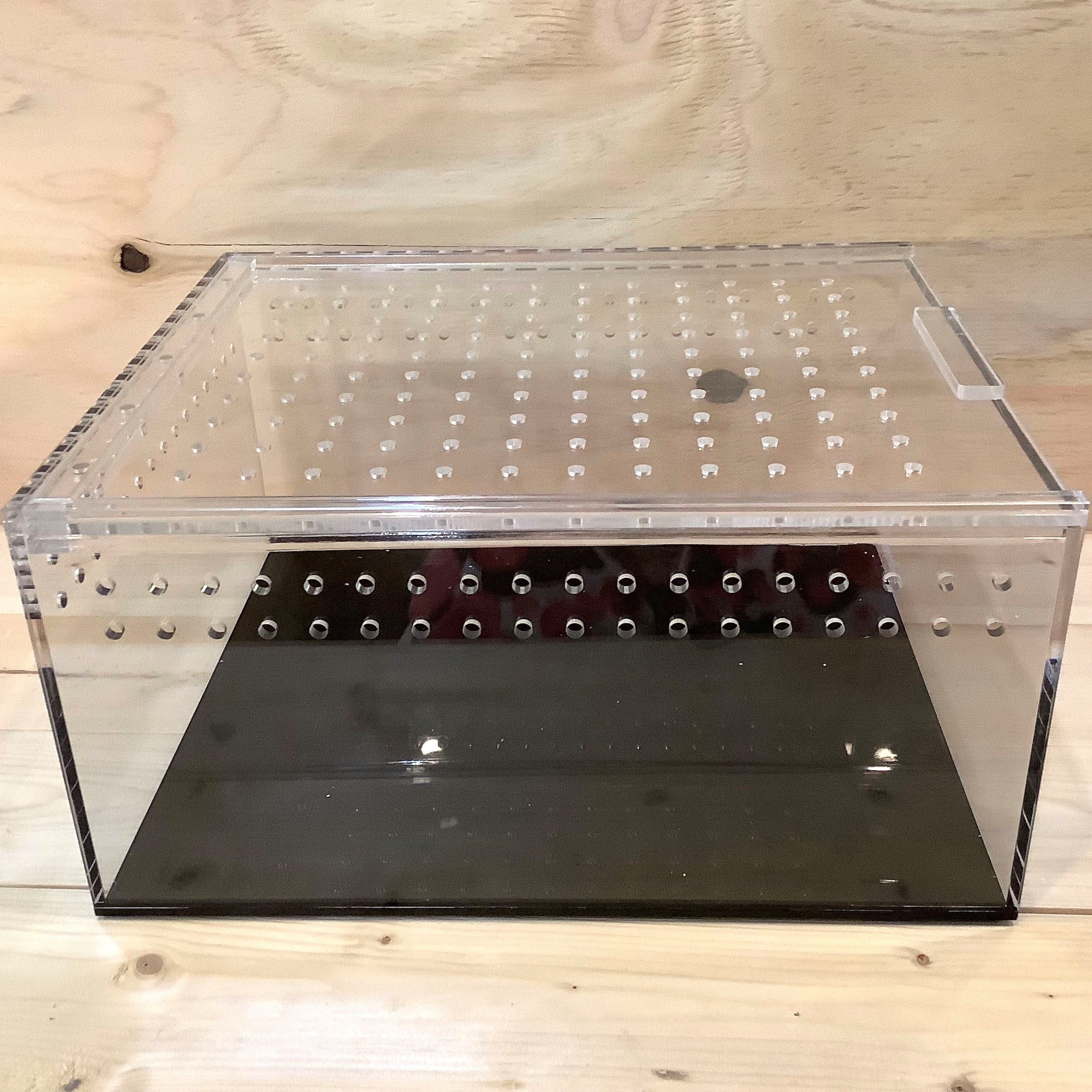 Clearness レプタイルケース RC-250 ※特別価格 | Clearness